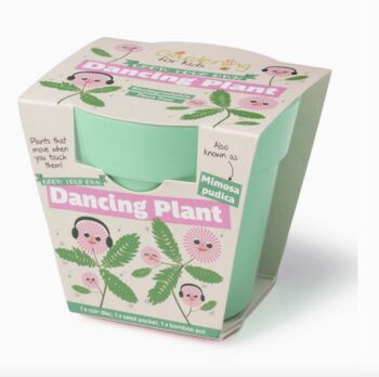 Childs Grow Your Own Dancing Plant Kit, 3 of 5