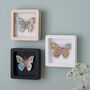 Personalised Valentines Gift Miniature Butterfly Wall Art, thumbnail 5 of 6