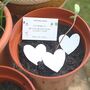 Loss, Grief And Bereavement Gift Plantable Seed Card, thumbnail 2 of 6