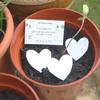 Loss, Grief And Bereavement Gift Plantable Seed Card, 2 of 6