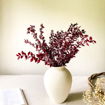 Burgundy Red Ruscus Stems, 6 of 6