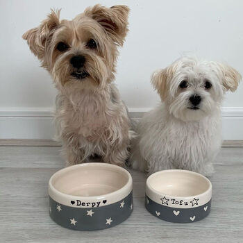 Handmade Personalised Dog Bowl, 3 of 11