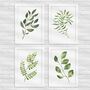 Watercolour Botanical Leaf Print Set Of Four, thumbnail 1 of 5