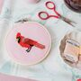 Cardinal Cross Stitch Kit, thumbnail 1 of 2