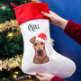 Personalised Santa Dog Christmas Stocking, thumbnail 10 of 12