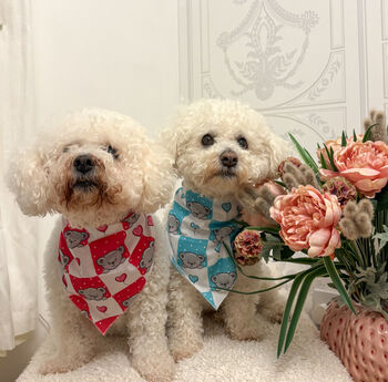 Pink Love Bug Bear Dog Bandana, 4 of 8