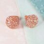 Frost Rose Gold Plated Silver Stud Earrings, thumbnail 1 of 11