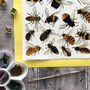 Bees Of Britain Art Blank Greeting Card, thumbnail 6 of 10