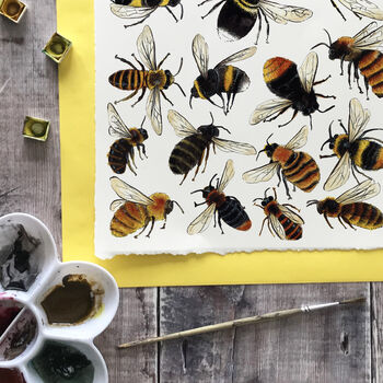 Bees Of Britain Art Blank Greeting Card, 6 of 10