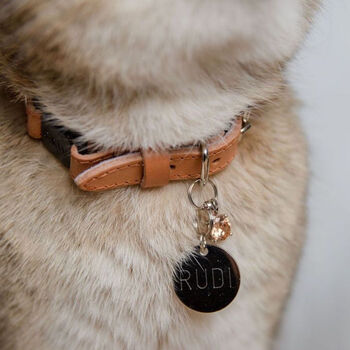 Personalised Cat I.D Tag With Double Sided Engraving, 5 of 5