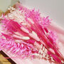 Luxury Pink Everlasting Dried Flower Bouquet, thumbnail 3 of 3