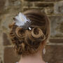 Ivory Feather Hair And Corsage Clip 'Molly', thumbnail 1 of 6
