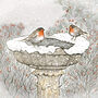 'Bird Bath' Print, thumbnail 3 of 6