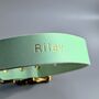 Personalised Turquoise Leather Dog Collar, thumbnail 5 of 5