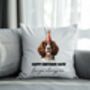 Personalised Springer Spaniel Birthday Party Cushion, thumbnail 1 of 2