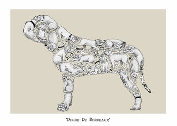 Dogue De Bordeaux Print, 2 of 4