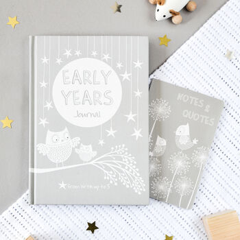 Early Years: Grey, Baby To Five Years Record Journal, 3 of 12