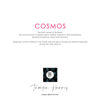 Cosmos Birthday Card, 2 of 2