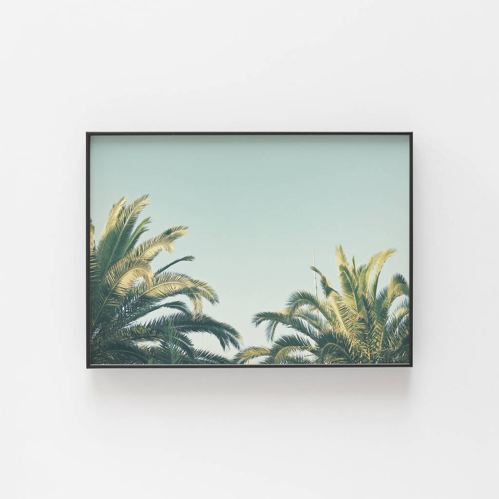 Summer Time Photographic Palm Tree Print, 1 of 2