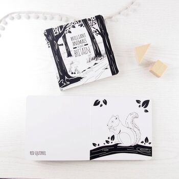 Black And White Baby Book Of Animals, 2 of 7