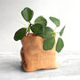 Leather Paper Bag Planter With Round Leaf Vine For 3rd Year Leather Wedding Anniversary, thumbnail 1 of 5