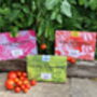 The Herb Garden Seed Collection, thumbnail 2 of 2