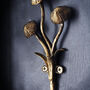 Triple Mushroom Hook, thumbnail 2 of 2