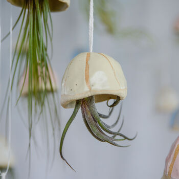 Jellyfish Air Plant Hanging Decorations Stone, 4 of 8