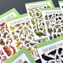 Wildlife Of Britain Greeting Cards Pack Volume Six, thumbnail 4 of 9