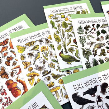 Wildlife Of Britain Greeting Cards Pack Volume Six, 4 of 9