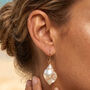 Gold Coastal Shell Drop Hook Earrings, thumbnail 1 of 6
