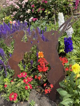 Boxing Hares Garden Ornament , Lawn Statue , Feature , Ornament , Decoration, 7 of 12