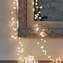 Snowberry Fairy Lights, thumbnail 1 of 2