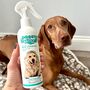 Rinse Free Dog Shampoo Aloe Vera, thumbnail 2 of 2
