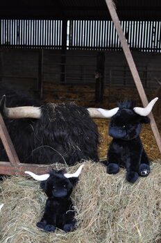 Medium Longhorn Highland Black 23cm Cow With Personalised Heart, 2 of 9