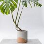 Handmade Eco Plant Pot | Peachy Pink And Off White, thumbnail 3 of 6
