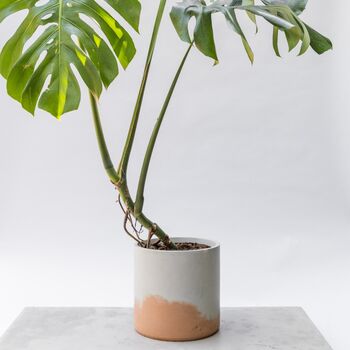 Handmade Eco Plant Pot | Peachy Pink And Off White, 3 of 6