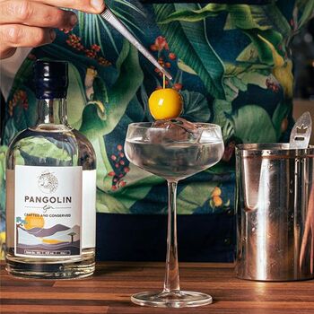 Pangolin Gin, Small Batch Hand Crafted Gin, 8 of 9