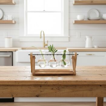 Set Of Three Propagation Vases, 2 of 6