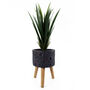 Leaf Design Lunar Moon Black Planter With Stand, thumbnail 3 of 10