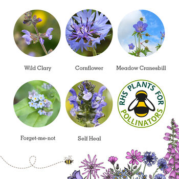 Love Bees Gardeners Gift Bundle, 10 of 12
