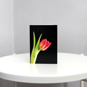 Floral A6 Greetings Cards, 7 of 7