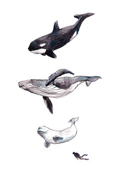 Whale Art Print On Recycled Rag Paper, 2 of 3