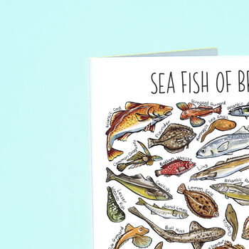 Sea Fish Of Britain Greeting Card, 4 of 7