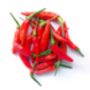 Chilli Plants, 'Super Chilli', thumbnail 2 of 11