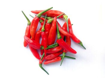 Chilli Plants, 'Super Chilli', 2 of 11