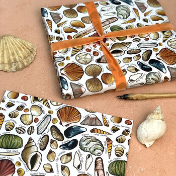 Seashells Of Britain Wrapping Paper Set, 6 of 7