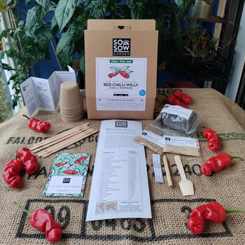 Red Chilli Willy Chilli Pepper Grow Your Own Kit, 2 of 7