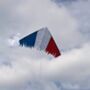 La Resistance Delta Kite Distressed Tricolour, thumbnail 2 of 8