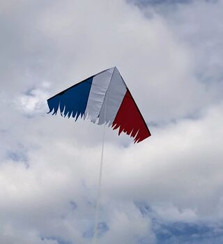 La Resistance Delta Kite Distressed Tricolour, 2 of 8